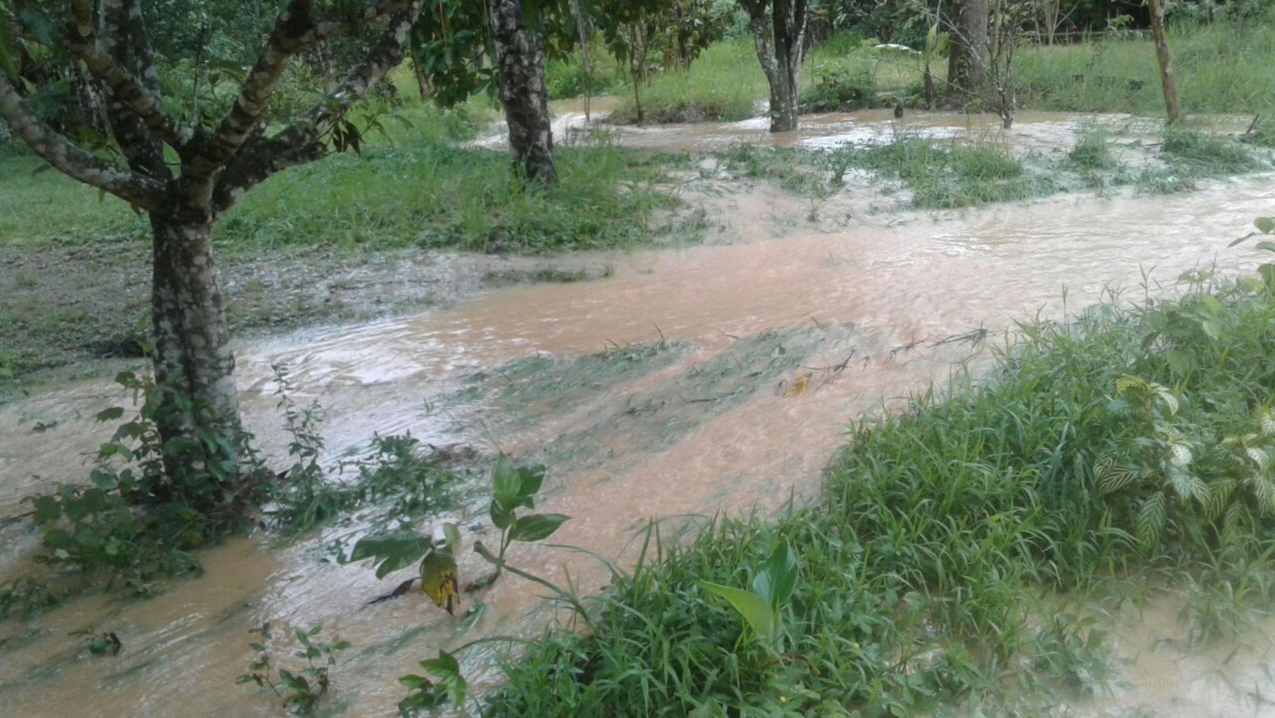 Está lloviendo. Foto Charlie G.T.