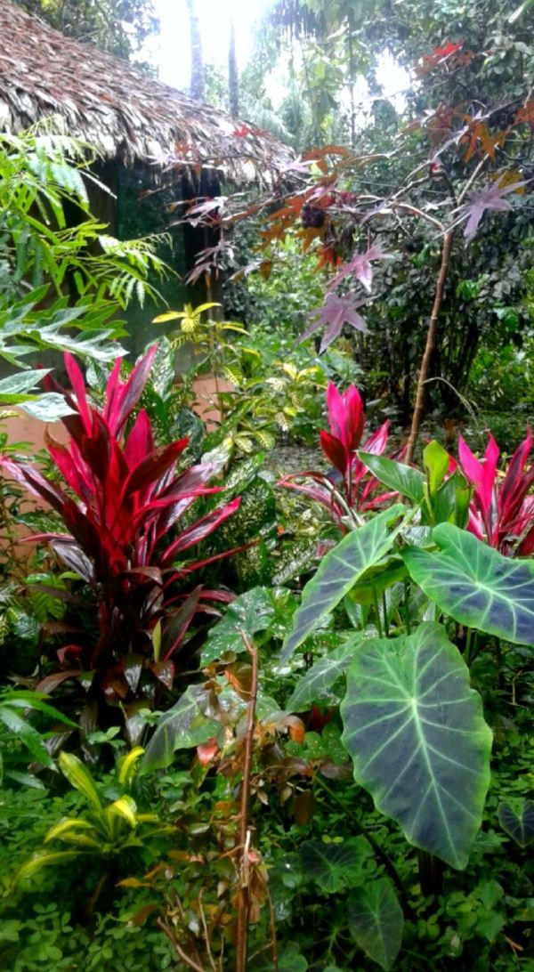 La cabaña sitiada. Foto Charlie G.T.