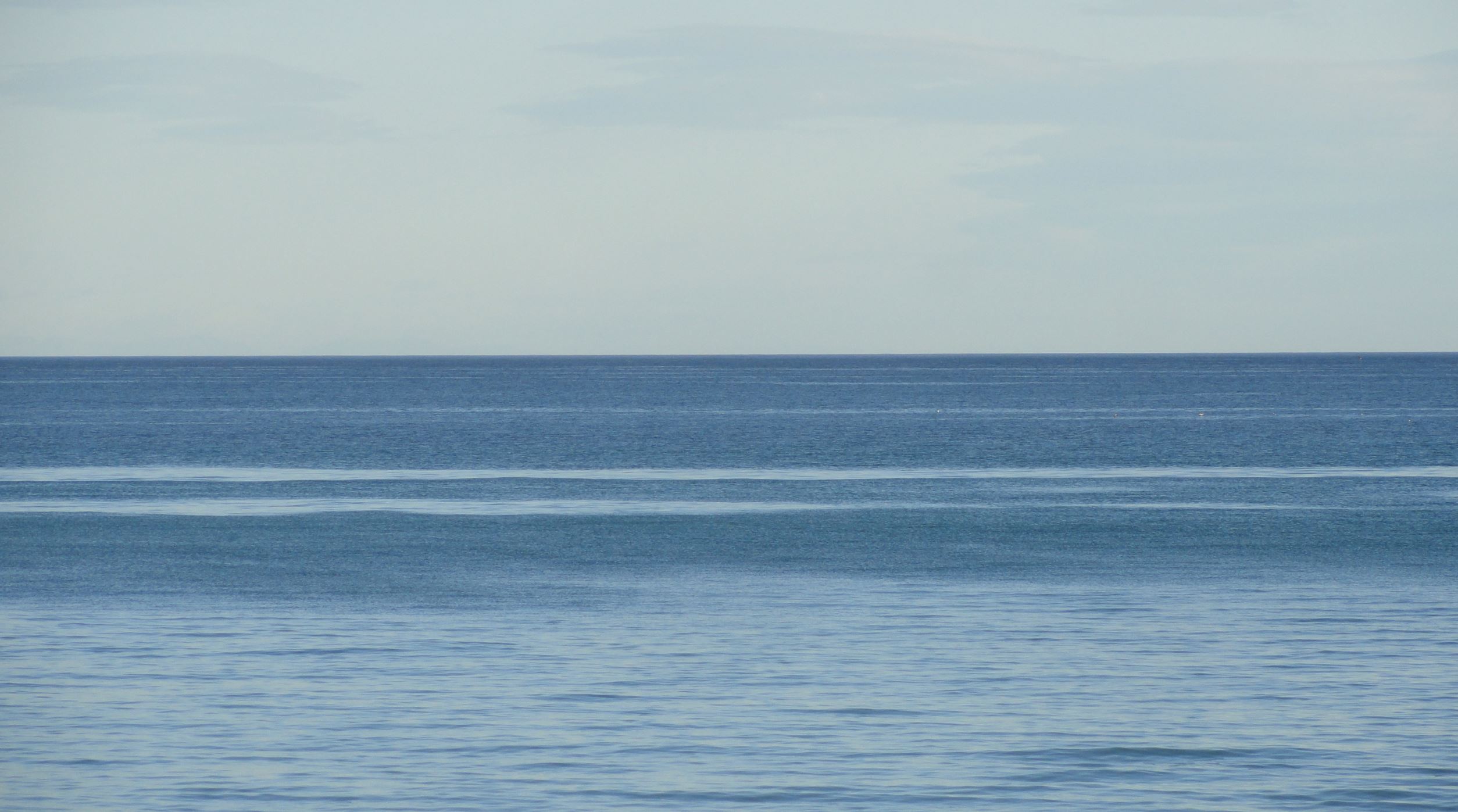 Más azules. Foto R.Puig
