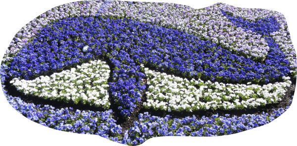 Jardín botánico . Foto R.Puig