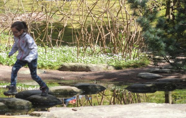 Saltarina. Jardín botánico. Gotemburgo. Foto R.Puig