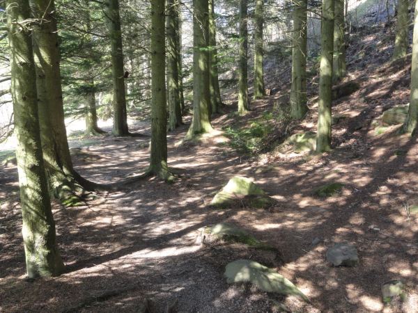 Si Cezanne anduviese por aquí. Foto R.Puig