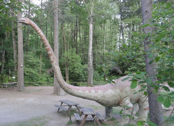 ¿Alguién tiene palomitas? Zoo de Borås. Foto R.Puig