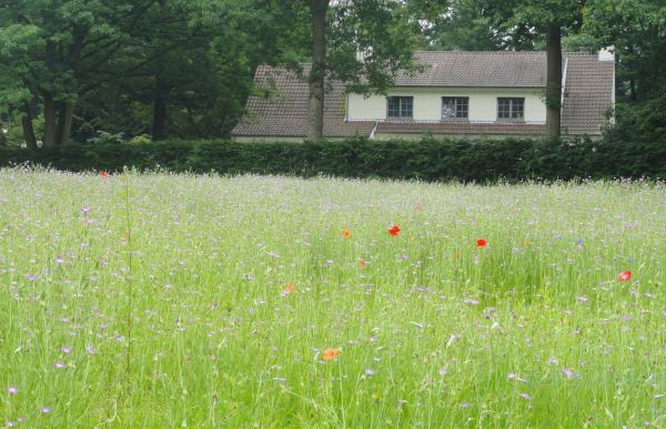 En Schilde. Provincia de Amberes. Foto R.Puig.