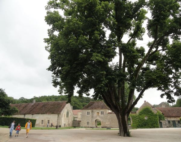 La entrada de la abadía de Fontenay. Foto R.Puig