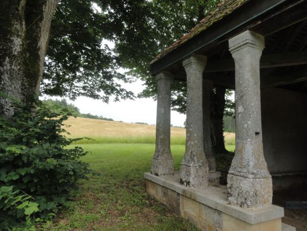 Trigales junto a Santa Gertrudis. Selongey. Foto R.Puig