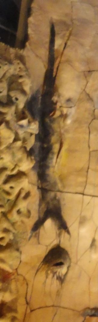 El pez negro. Miquel Barceló. Palma de Mallorca. Foto R.Puig