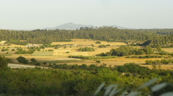Vista desde del "pla" desde Montuiri. Foto R.Puig