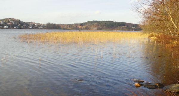 Luz declinante. Foto R.Puig