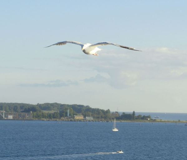 Mientras hay tiempo. Foto R.Puig