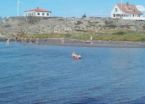 Costa Oeste de Suecia.Ultimas zambullidas. Foto R.Puig
