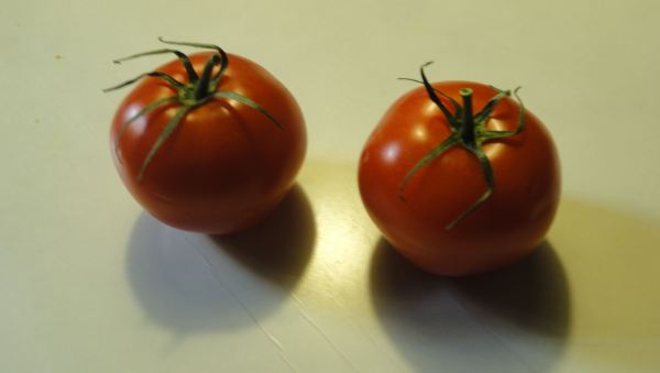 Aquí hay tomate. Foto R.Puig