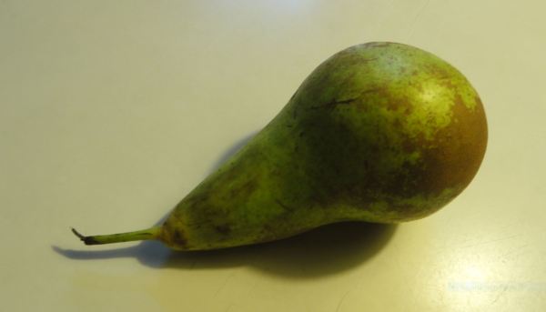 Es la pera. Foto R.Puig