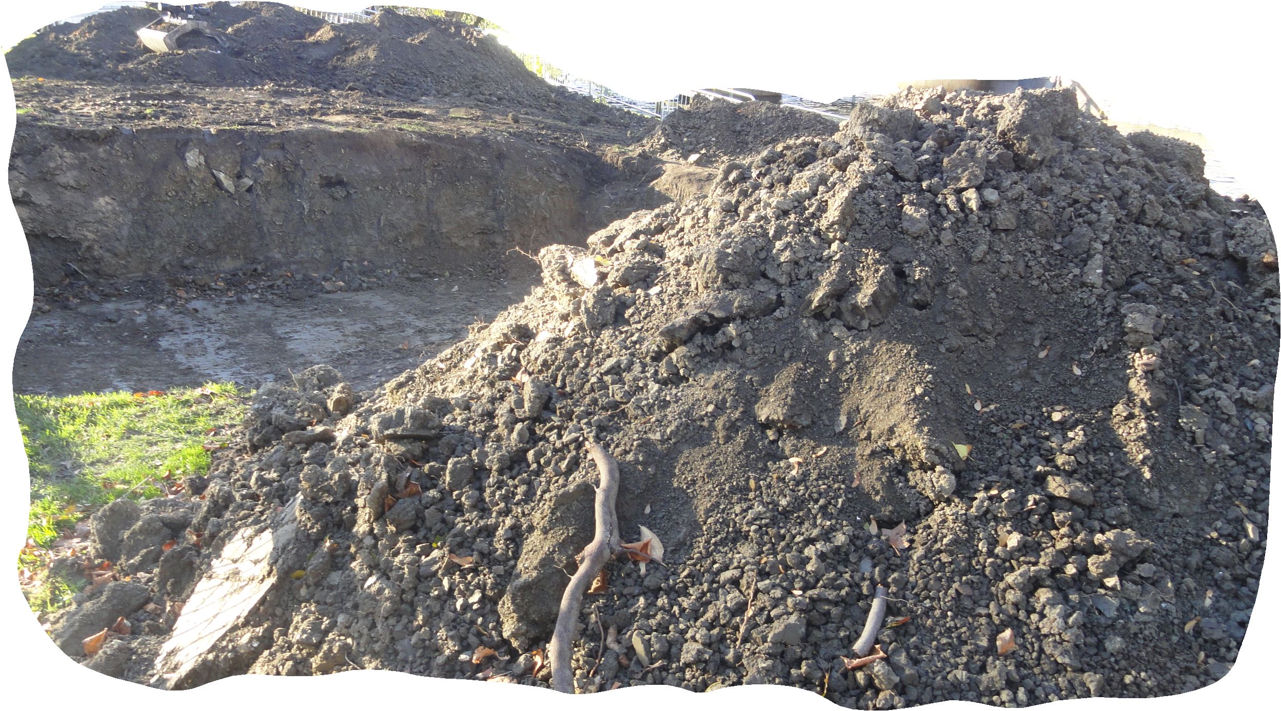 Excavando. Foto R.Puig