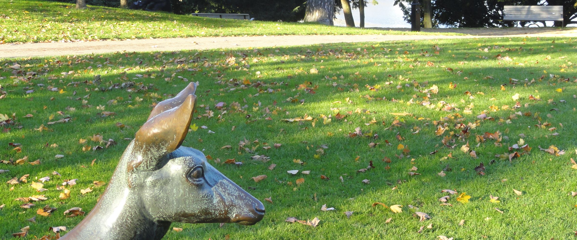 Hay ruidos en el parque. Foto R.Puig