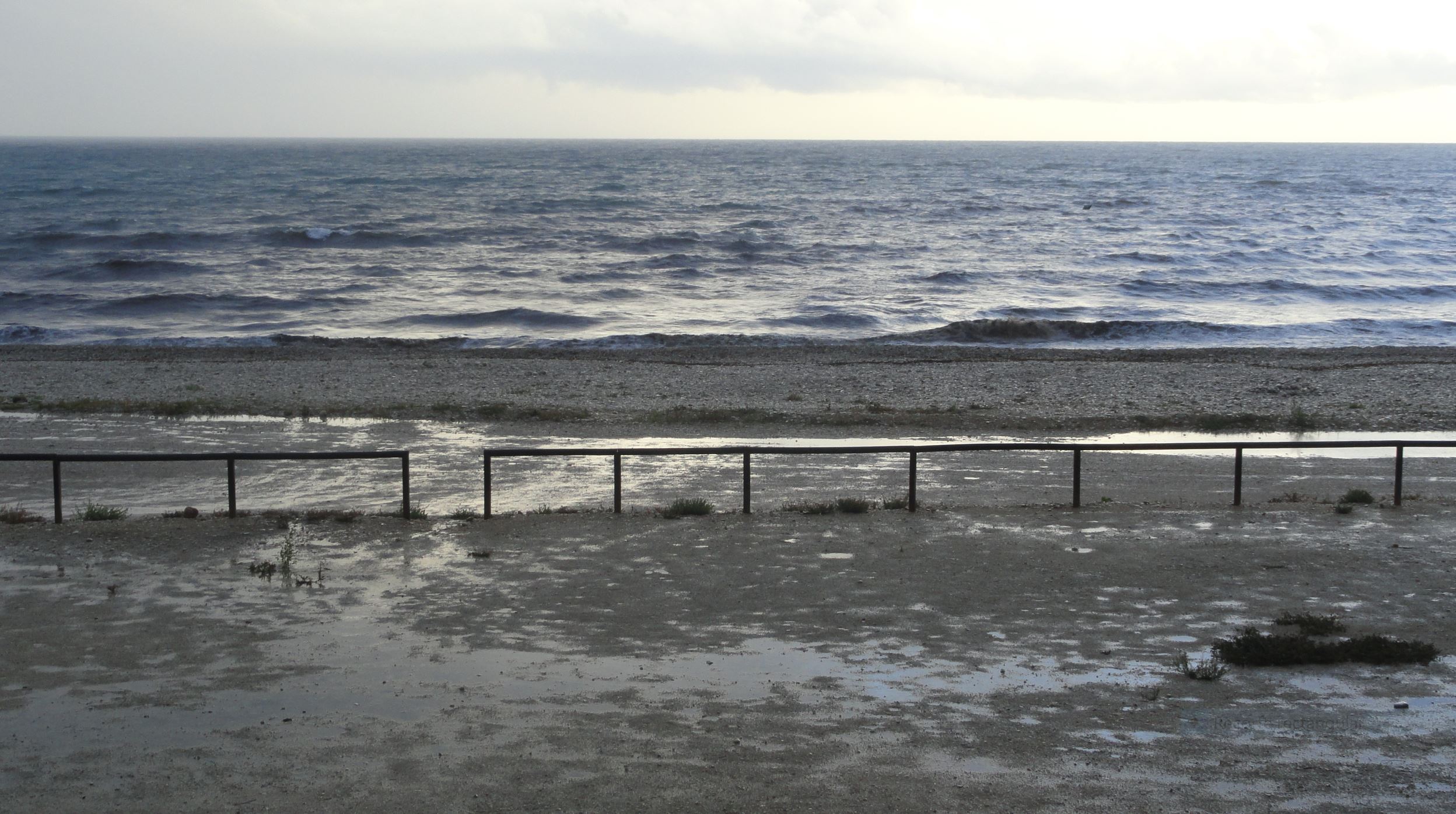 Jueves 18 de octubre. La mañana desde el balcón.. Foto R.Puig
