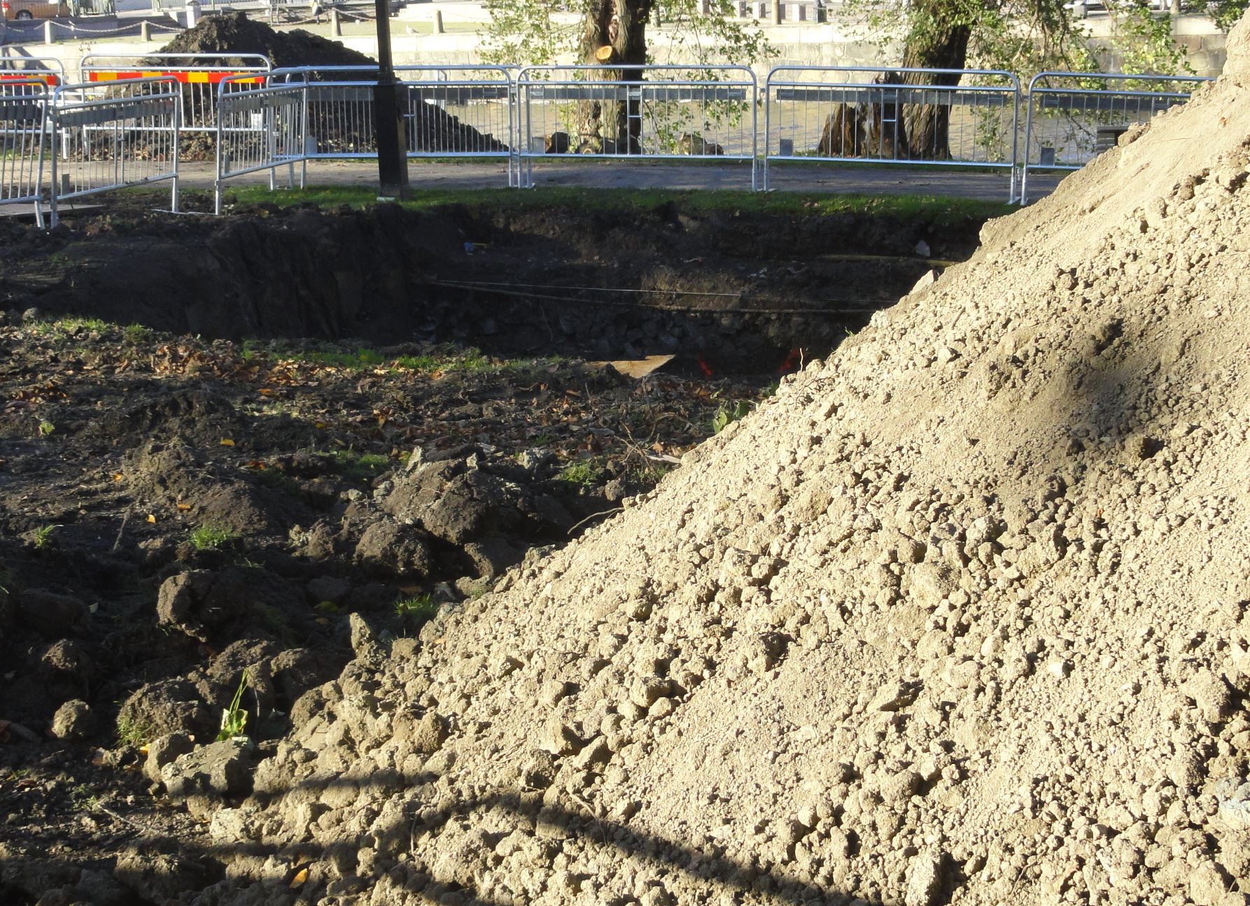 La lombriz ya anda por aquí. Foto R.Puig