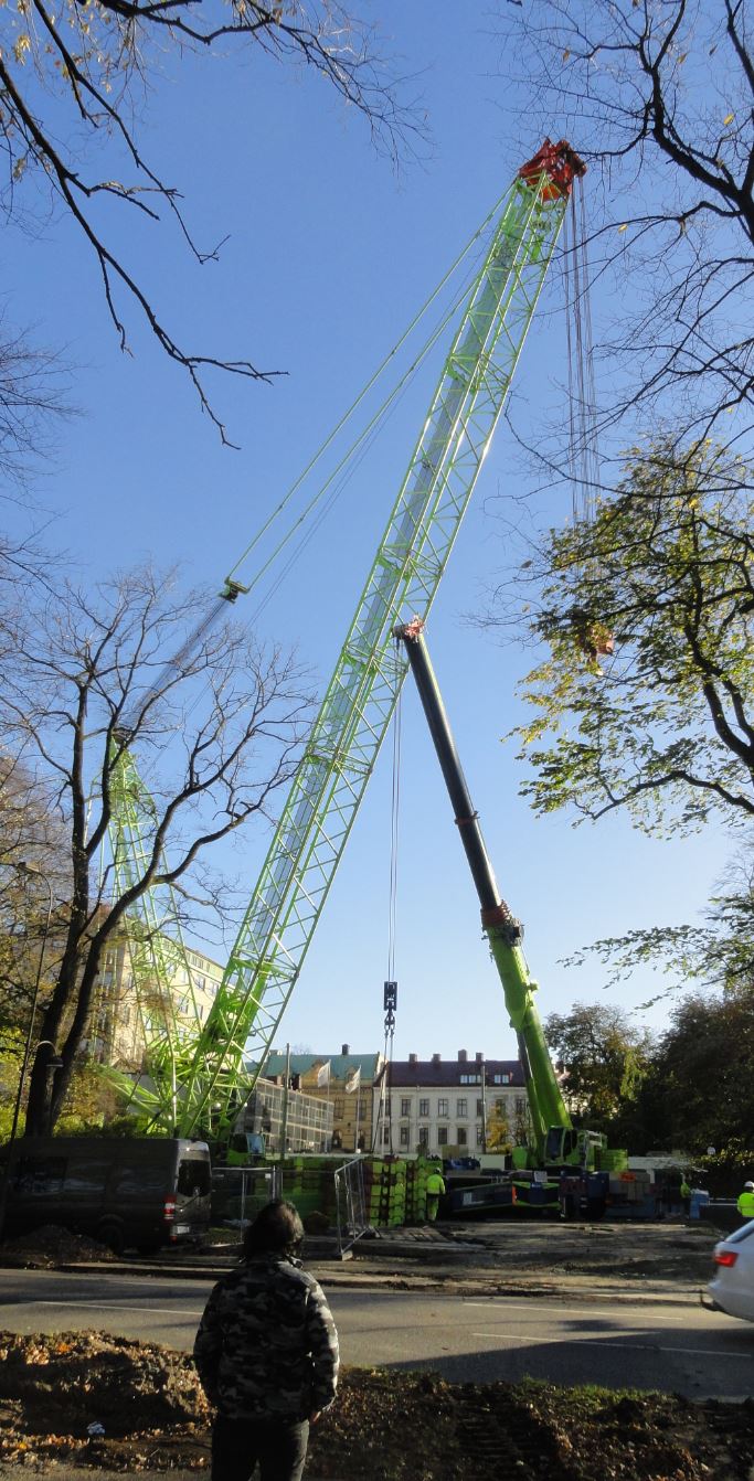 Los artilugios de la gtan lombriz. Foto R.Puig