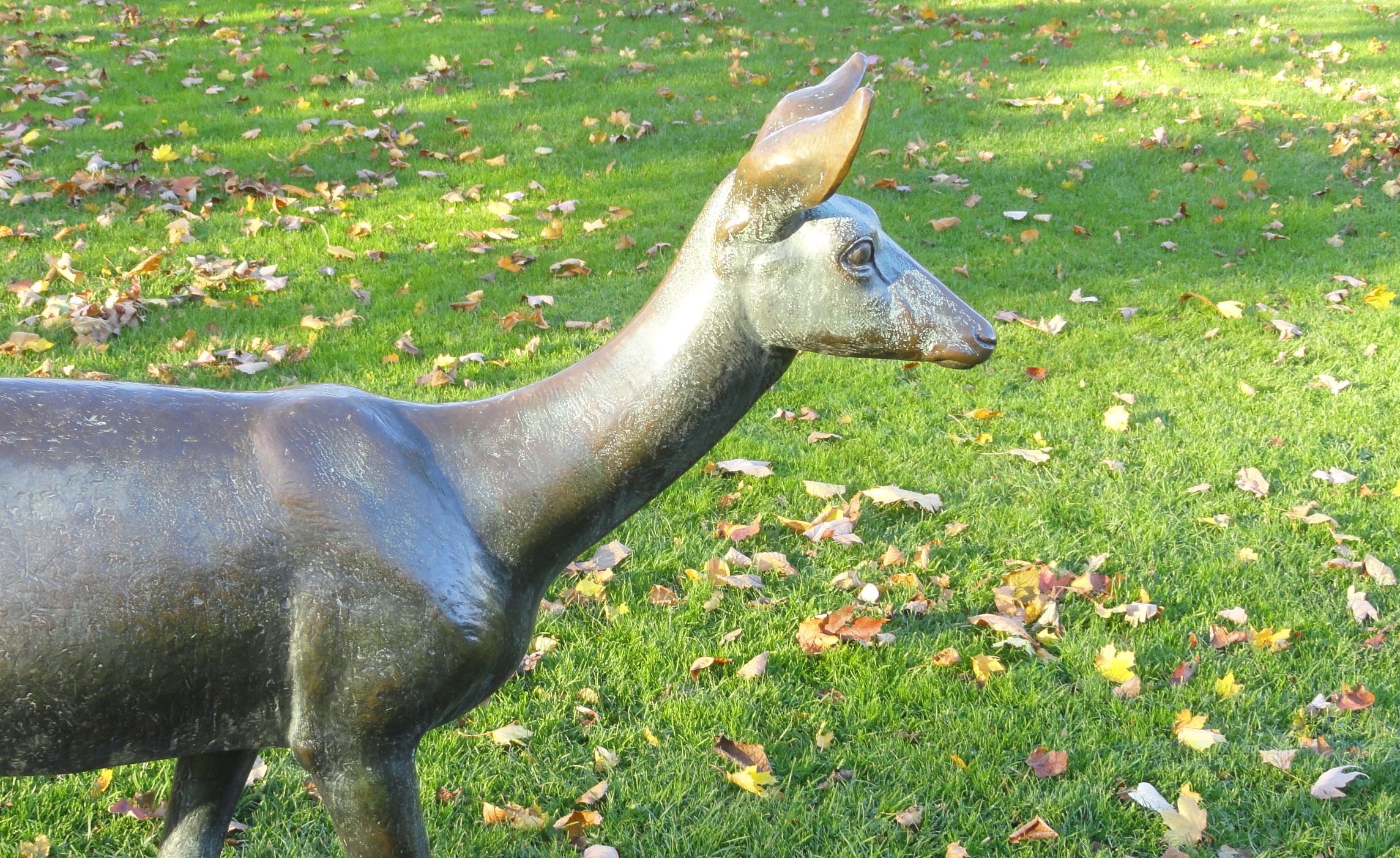 Se acerca la gran lombriz. Foto R.Puig