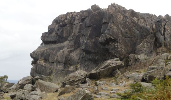 "The old man" of the Beacon Hill. Foto R.Puig