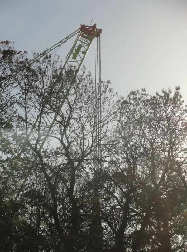 Voracidad. Foto R.Puig