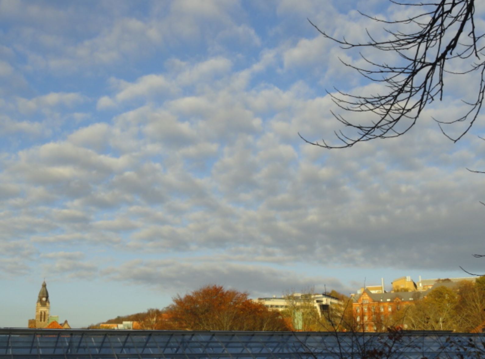 Cielo de otoño desde el Botánico. Foto R.Puig