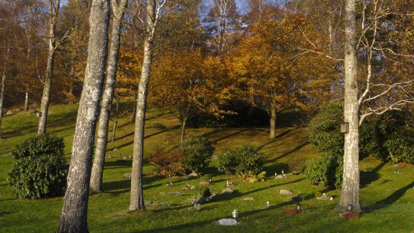Otoño manso. Foto R. Puig