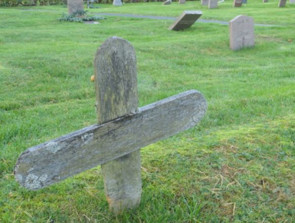 Pobre cosa caida. Foto R. Puig