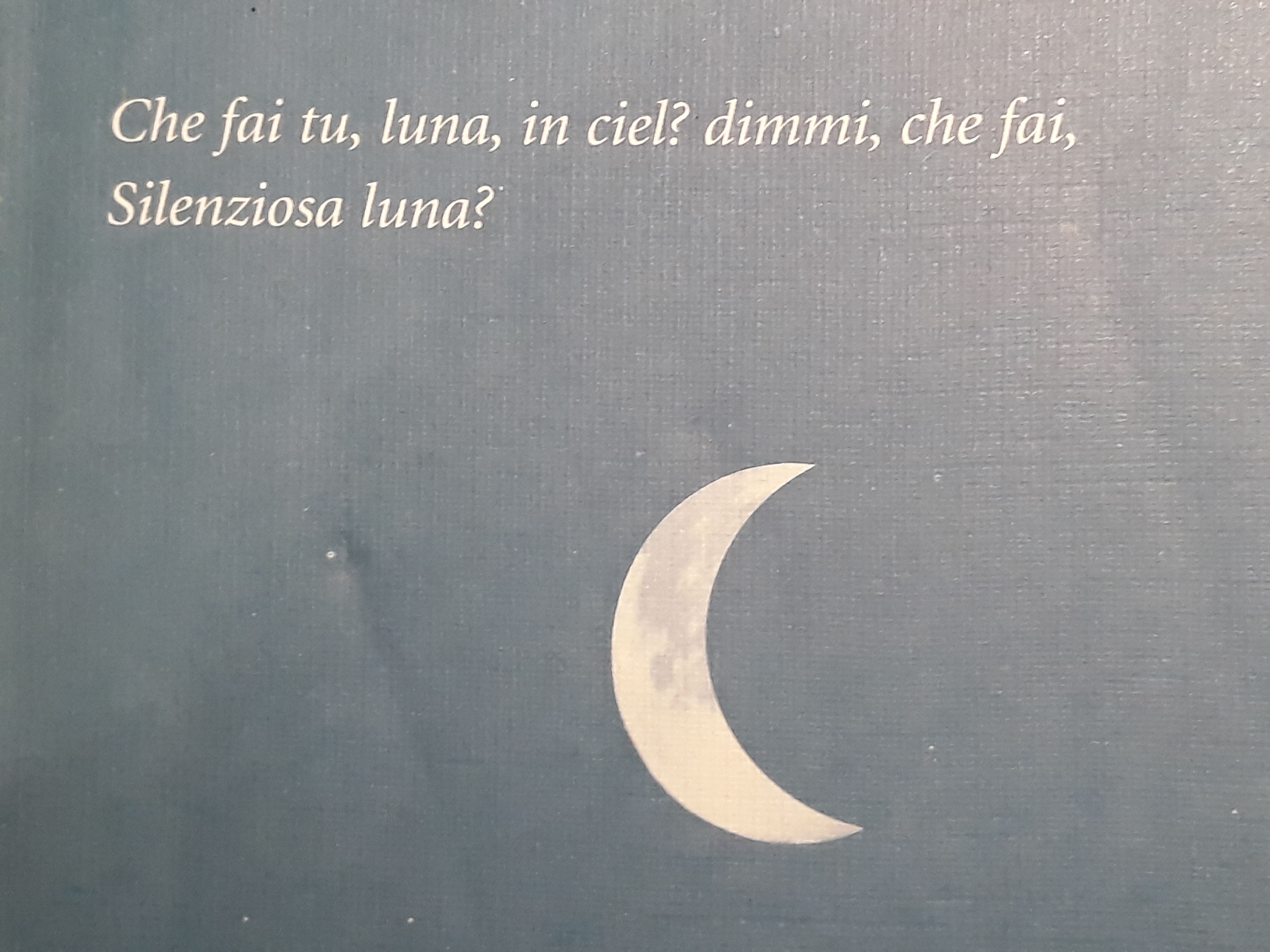 Canto delpastor errante. Leopardi