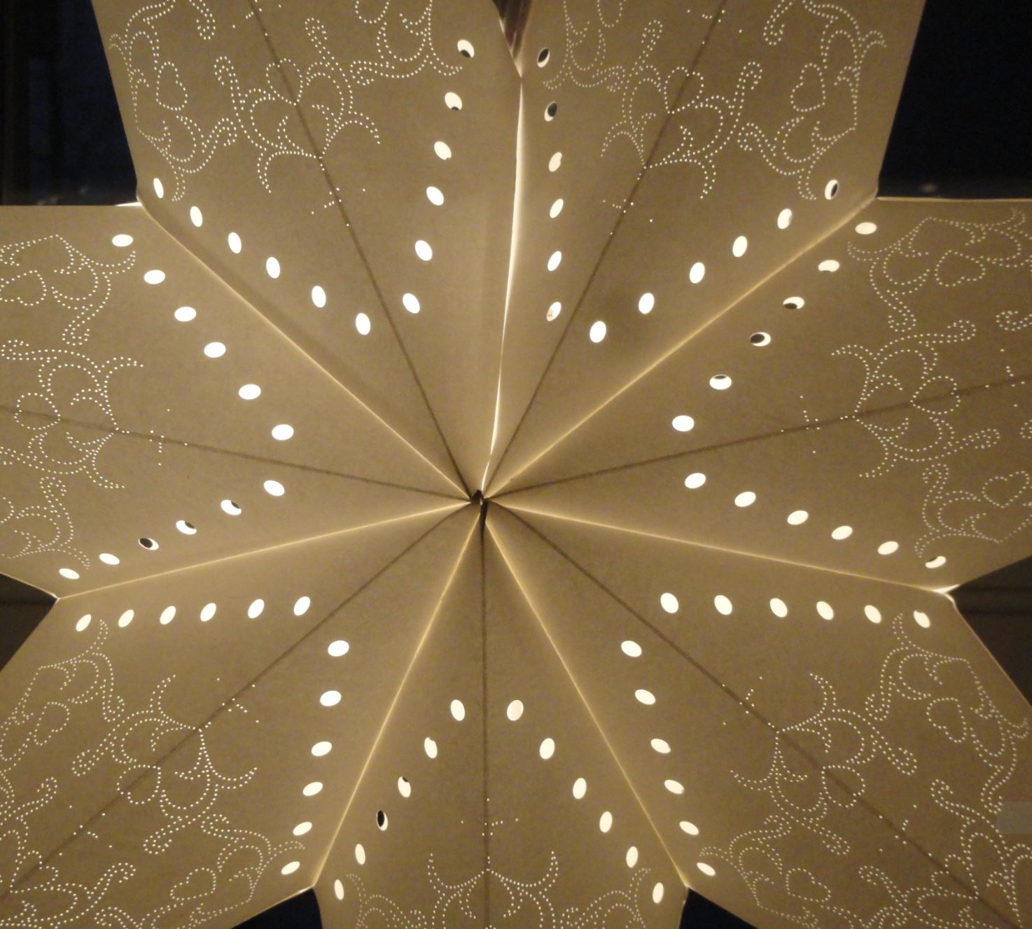 En la ventana. Foto R. Puig