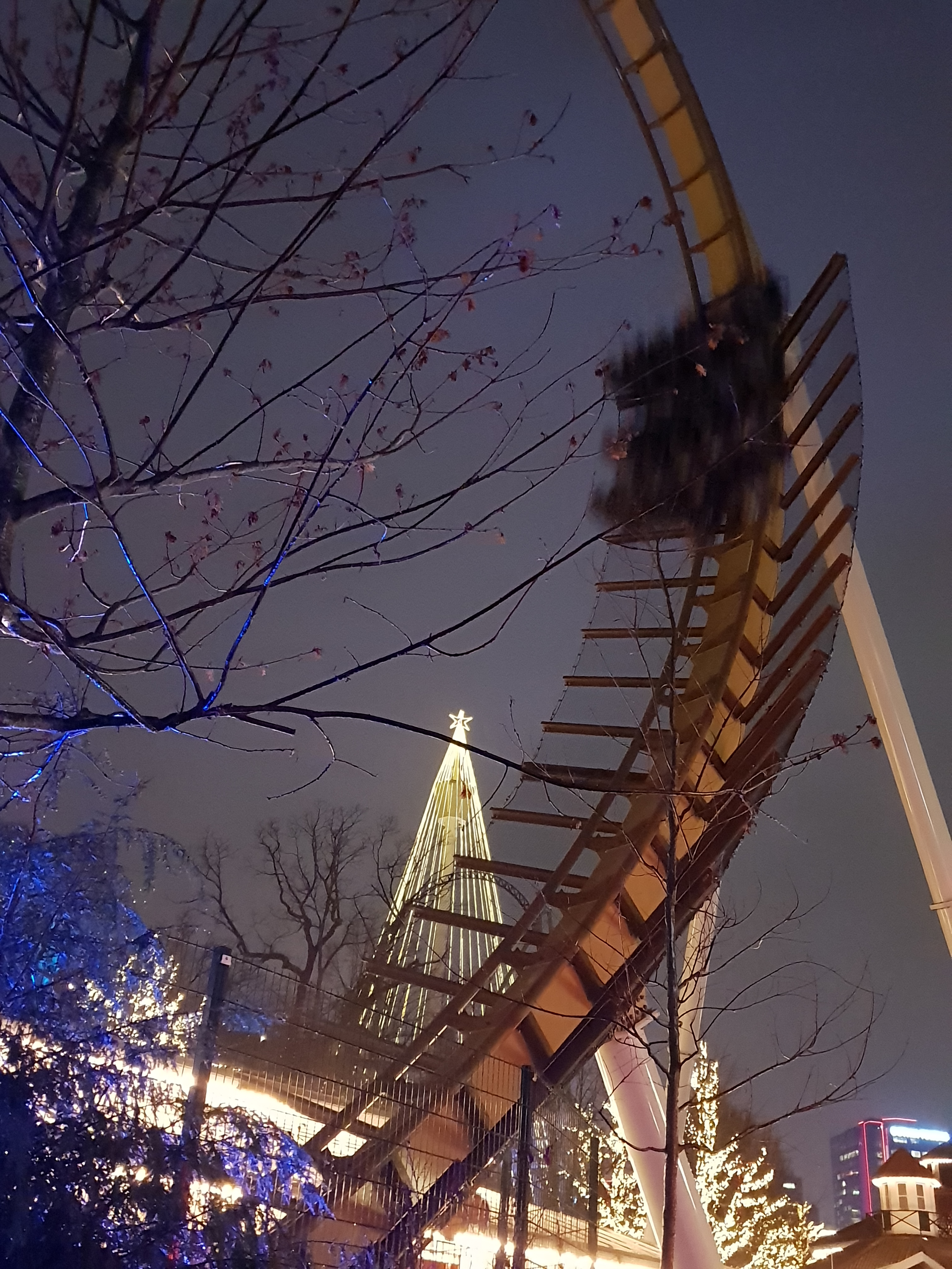 Fiados a su buena estrella. Foto R.Puig