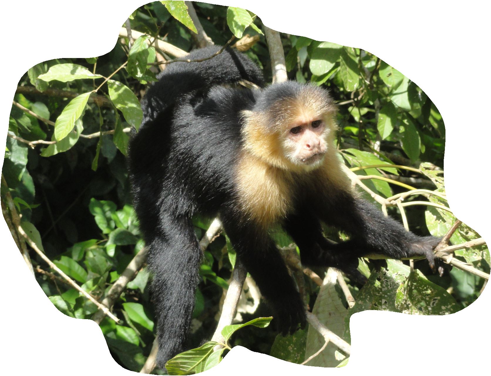 A ver qué quieren estos. Foto R.Puig