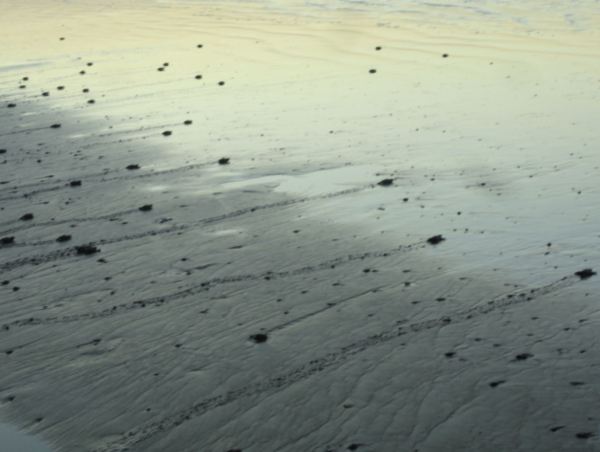 A ver quién llega antes. Foto R.Puig