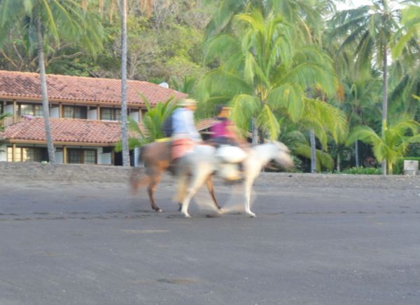 Jinetes madrugadores.Foto R.Puig