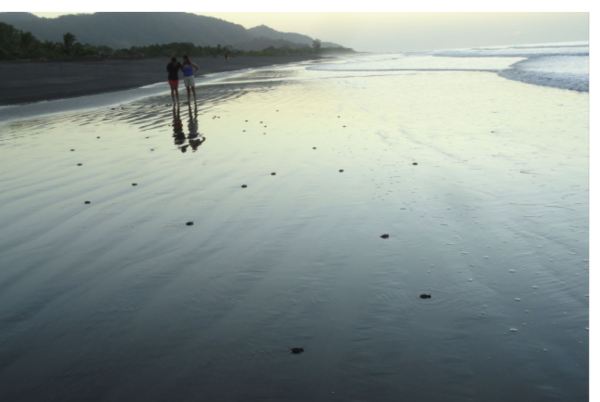 Las rezagadas. Foto R.Puig