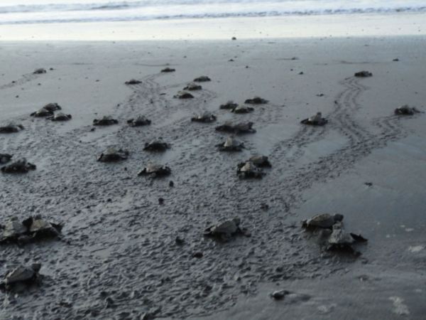 Saben el camino. Foto R.Puig