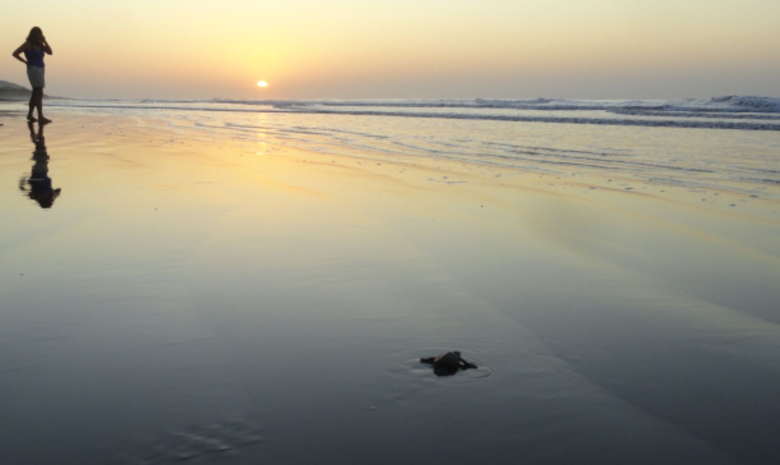 Ánimo, ánimo.... Foto R.Puig