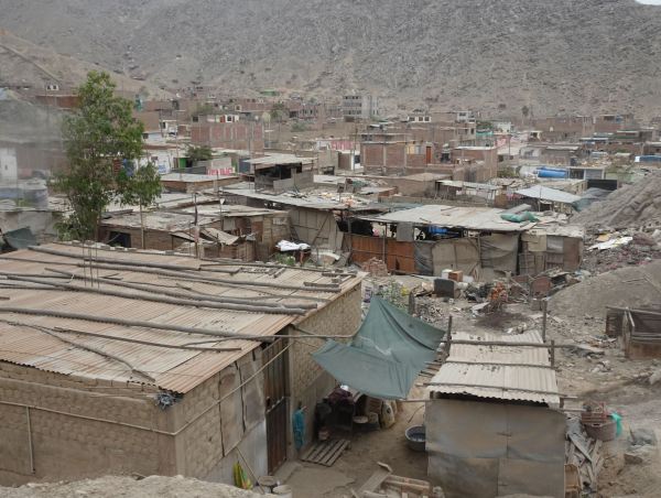 El verbo resurge del barro. Foto R.Puig