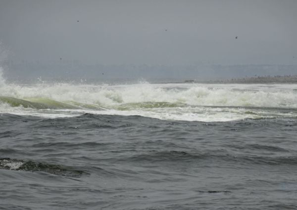 Bajíos de El Camotal. Foto R.Puig