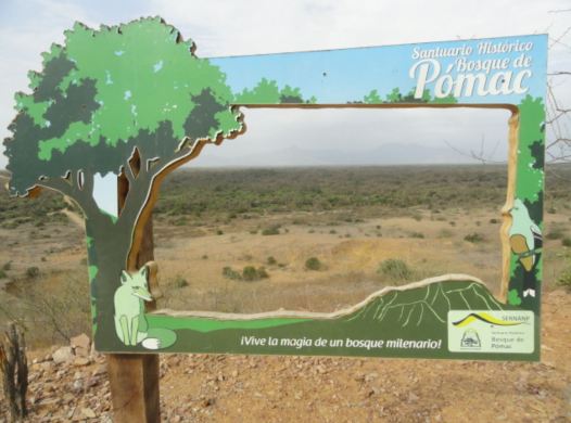 Bosque de Pómac. Foto R.Puig