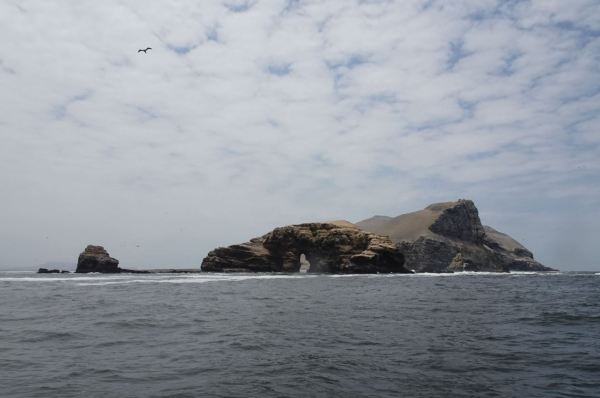 Islas de San Lorenzo y del Frontón. Foto R.Puig