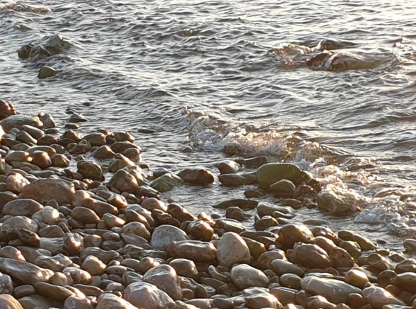 Litoral al atardecer. Playa dela Almadrava. Els Poblets. Foto R.Puig