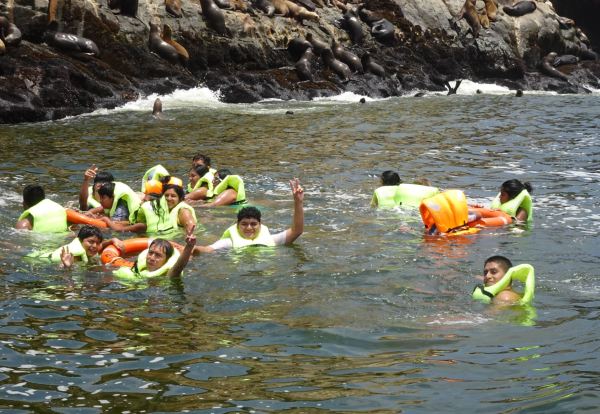 Mimesis lobuna. Foto R.Puig