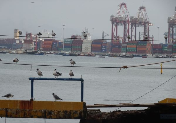 Puerto del Callao. Foto R.Puig