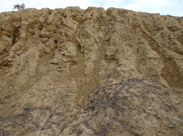 Huaca de la Merced. Foto R.Puig