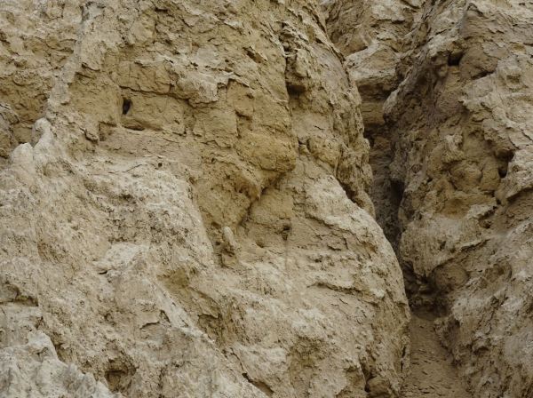 Por aquí anduvieron huaqueros. Huaca de la Merced. Foto R.Puig