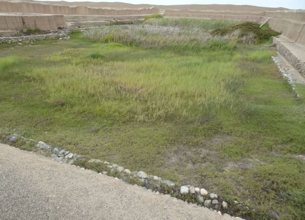 Chan Chan. El gran reservorio. Foto R.Puig