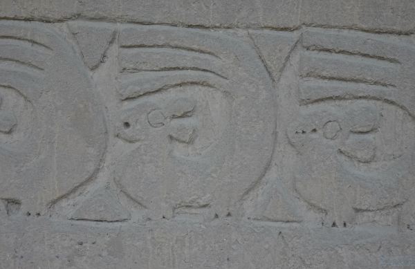 Chan Chan. Relieves zoomórficos. Foto R.Puig