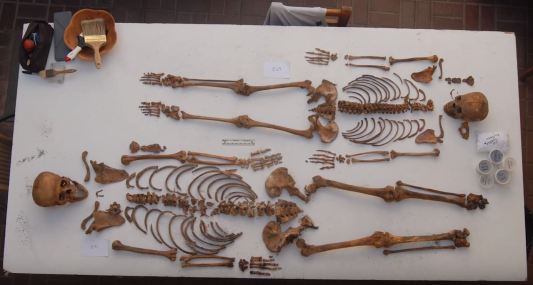 Esqueletos de niños sacrificados. John Verano . Tulane University