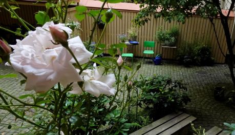 Decadencia y renovación. Foto R.Puig